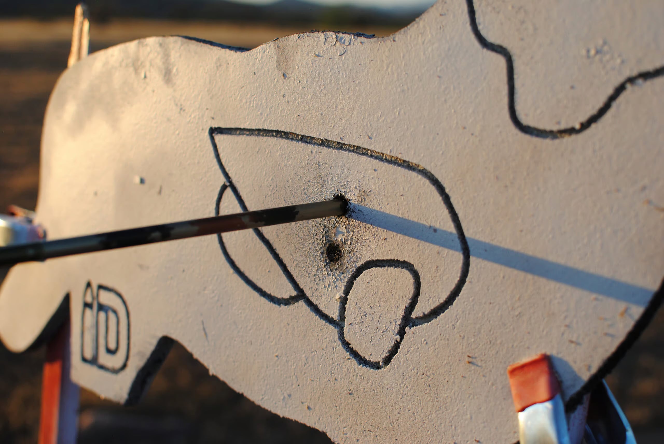 Coyote Infinity Target