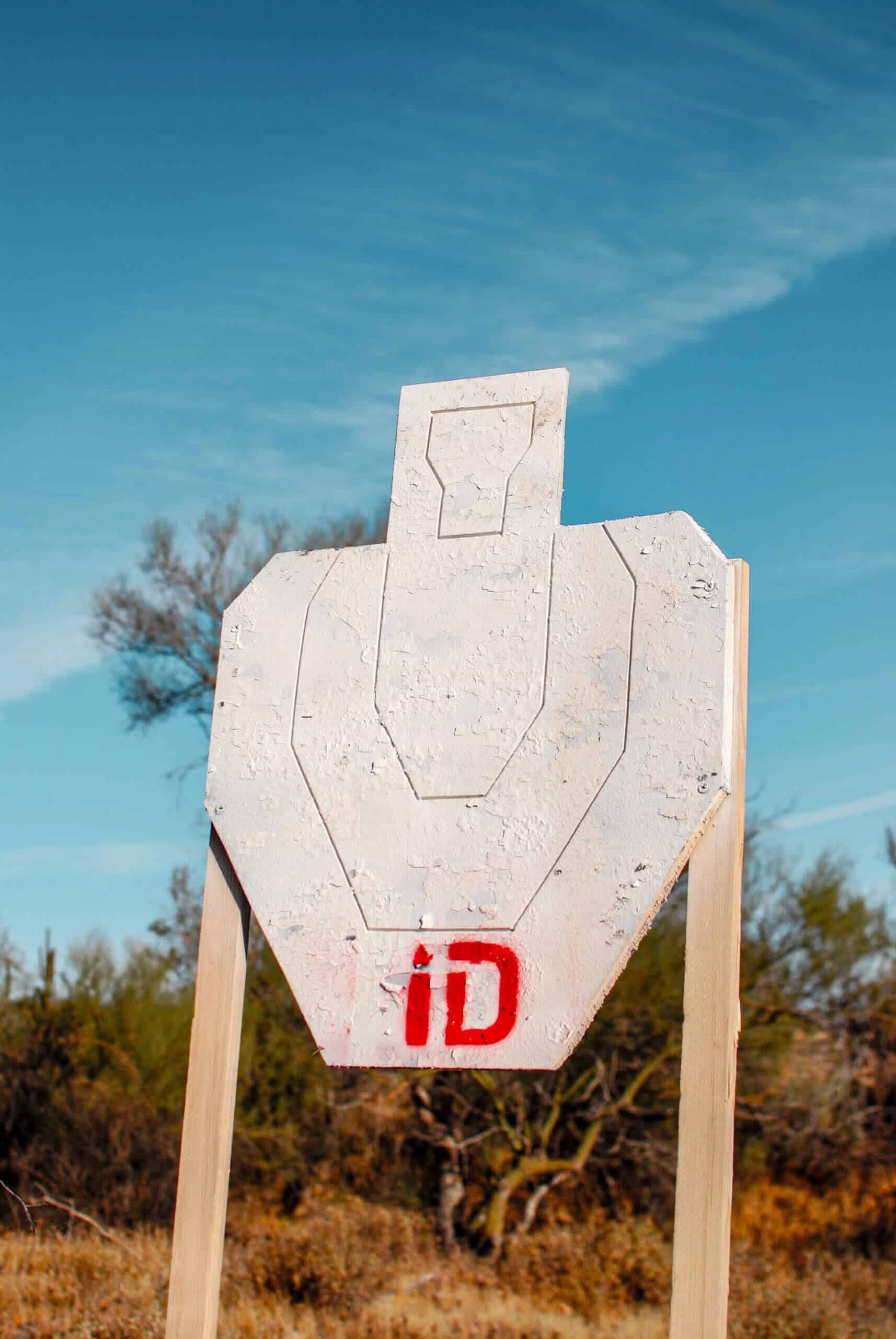 Infinity Targets K-Zone Target