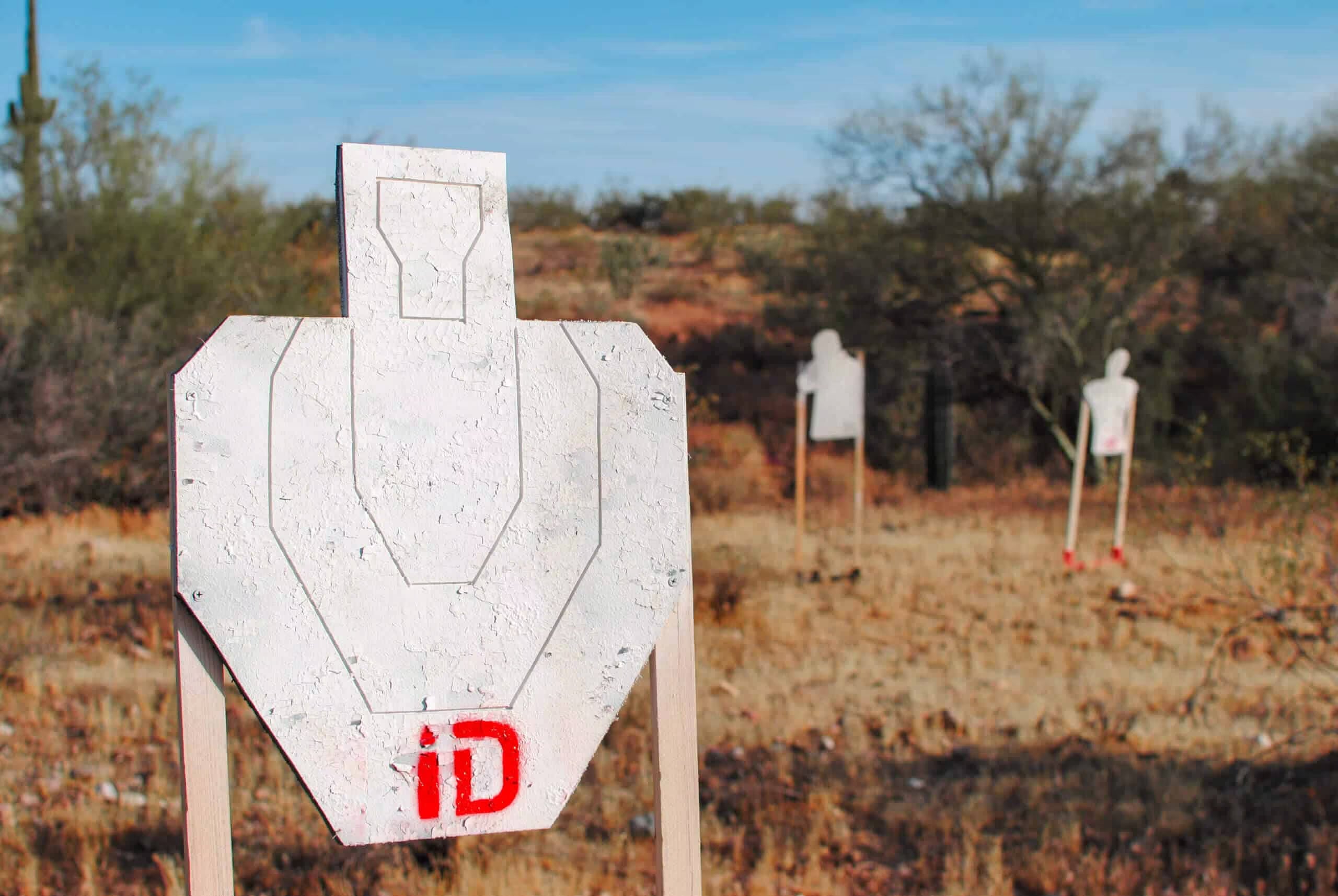 Infinity Targets K-Zone Target