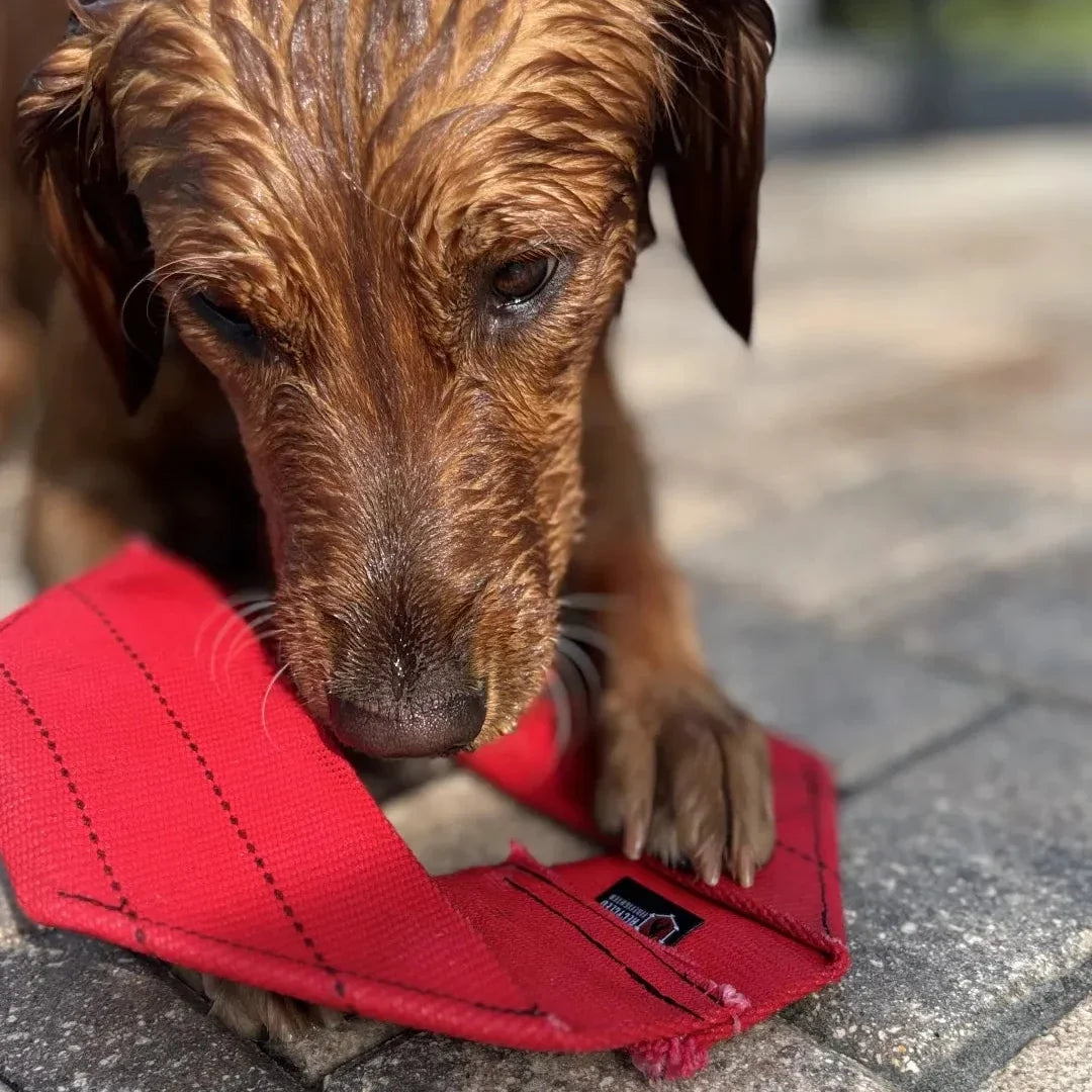 Recycled Firefighter Fire Hose Dog Frisbee — product view 10