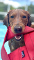 Recycled Firefighter Fire Hose Dog Frisbee — product view 11