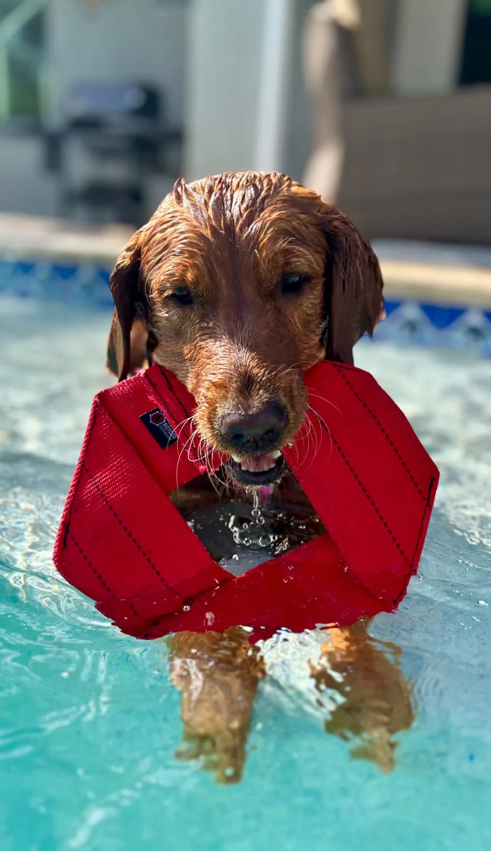 Recycled Firefighter Fire Hose Dog Frisbee — product view 12