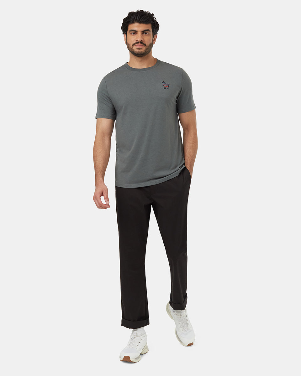 Tentree Men's Peru Embroidered Llama T-Shirt - Light Urban Green Tide