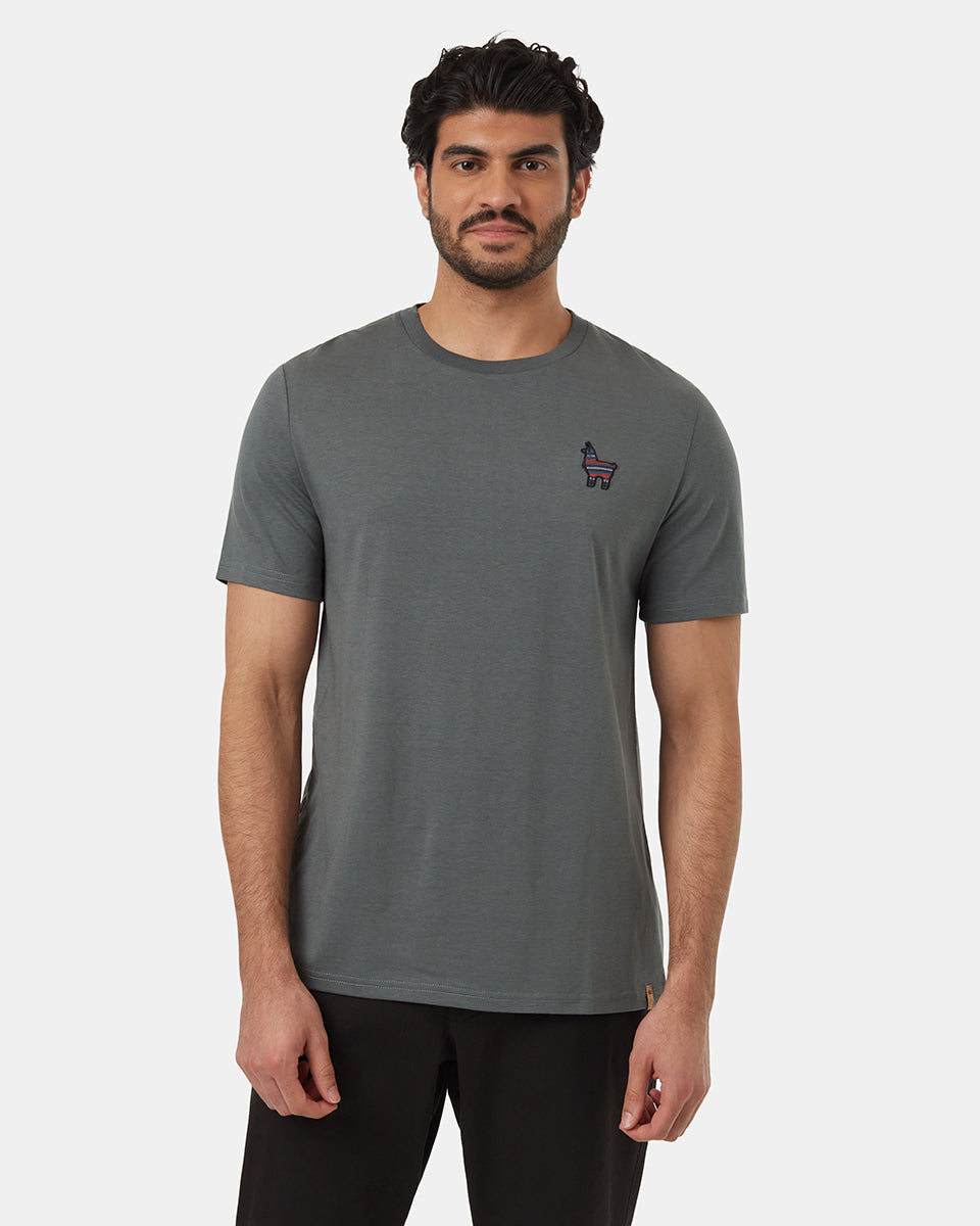 Tentree Men's Peru Embroidered Llama T-Shirt - Light Urban Green Tide