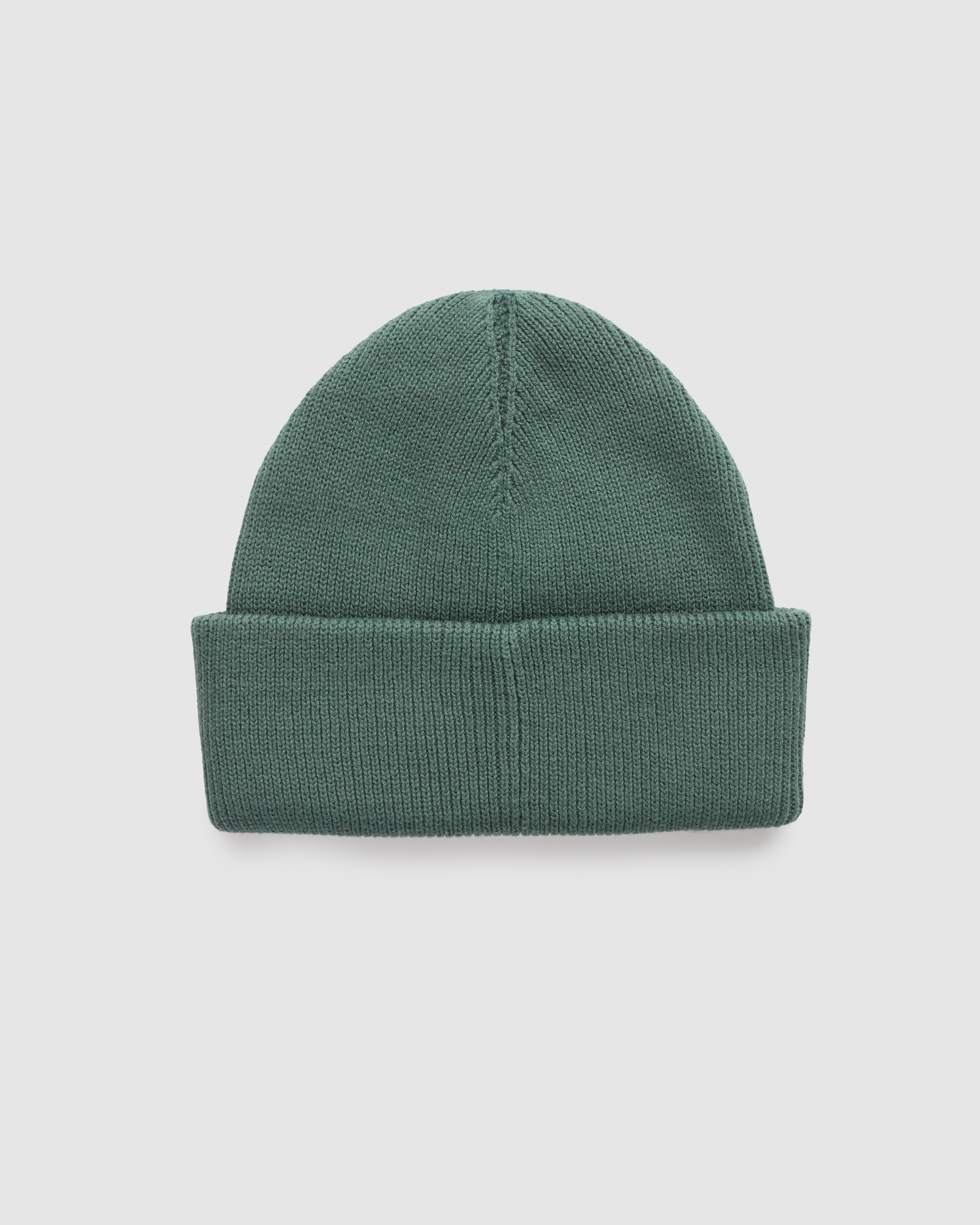 Tentree Alden Beanie - Pine Green