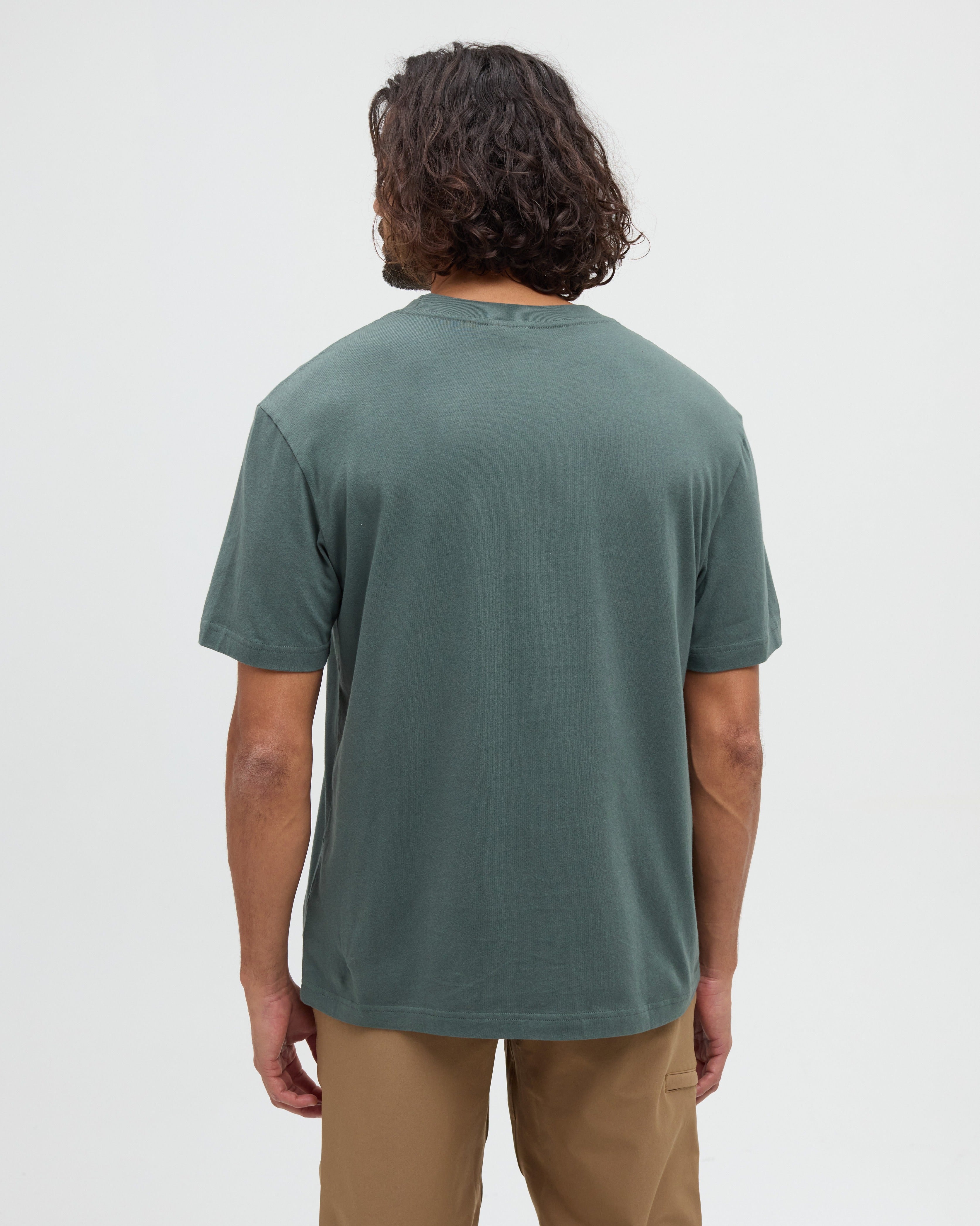 Tentree Men's Parks Landscape Relaxed T-Shirt - Pine Green Meteorite Black