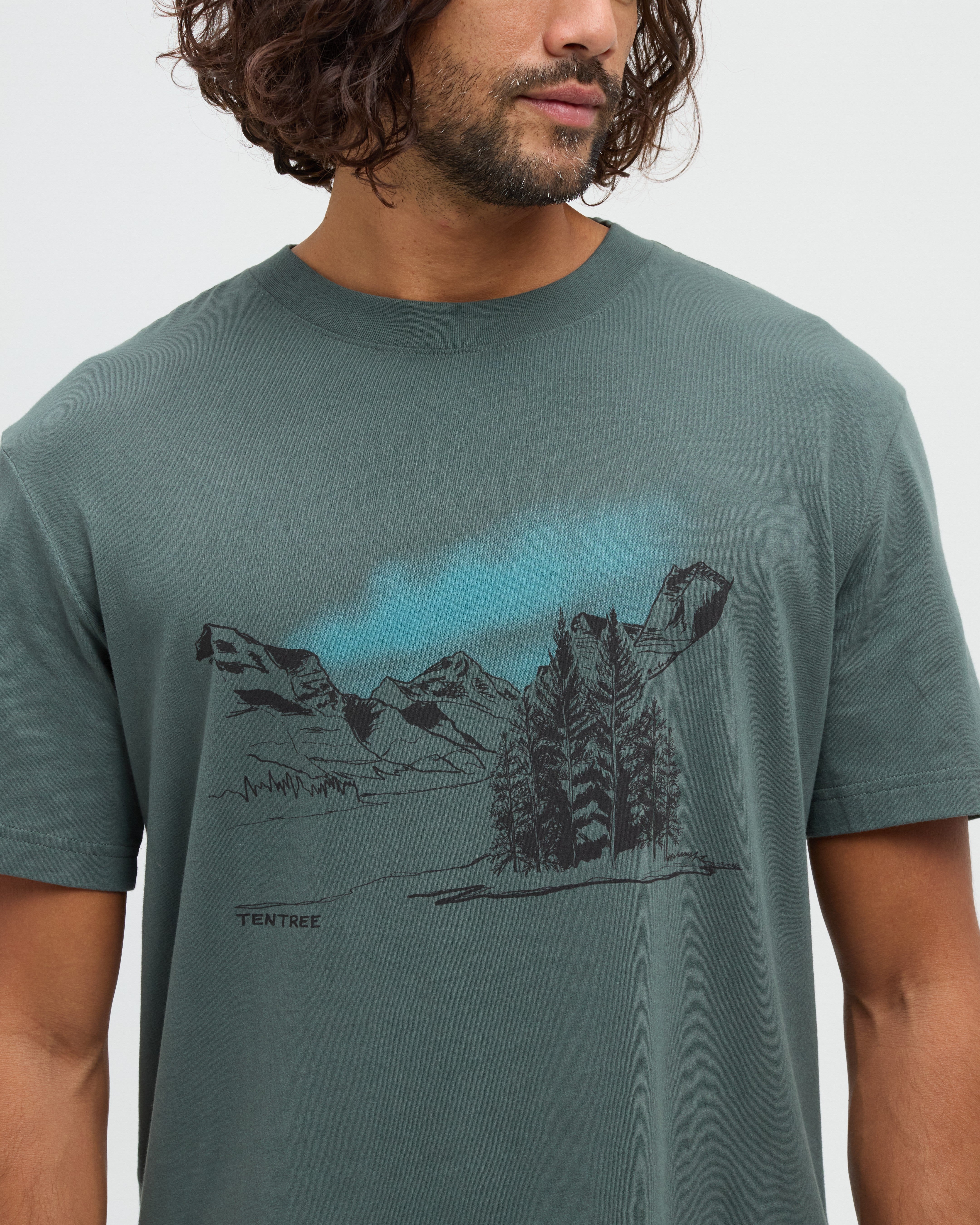 Tentree Men's Parks Landscape Relaxed T-Shirt - Pine Green Meteorite Black