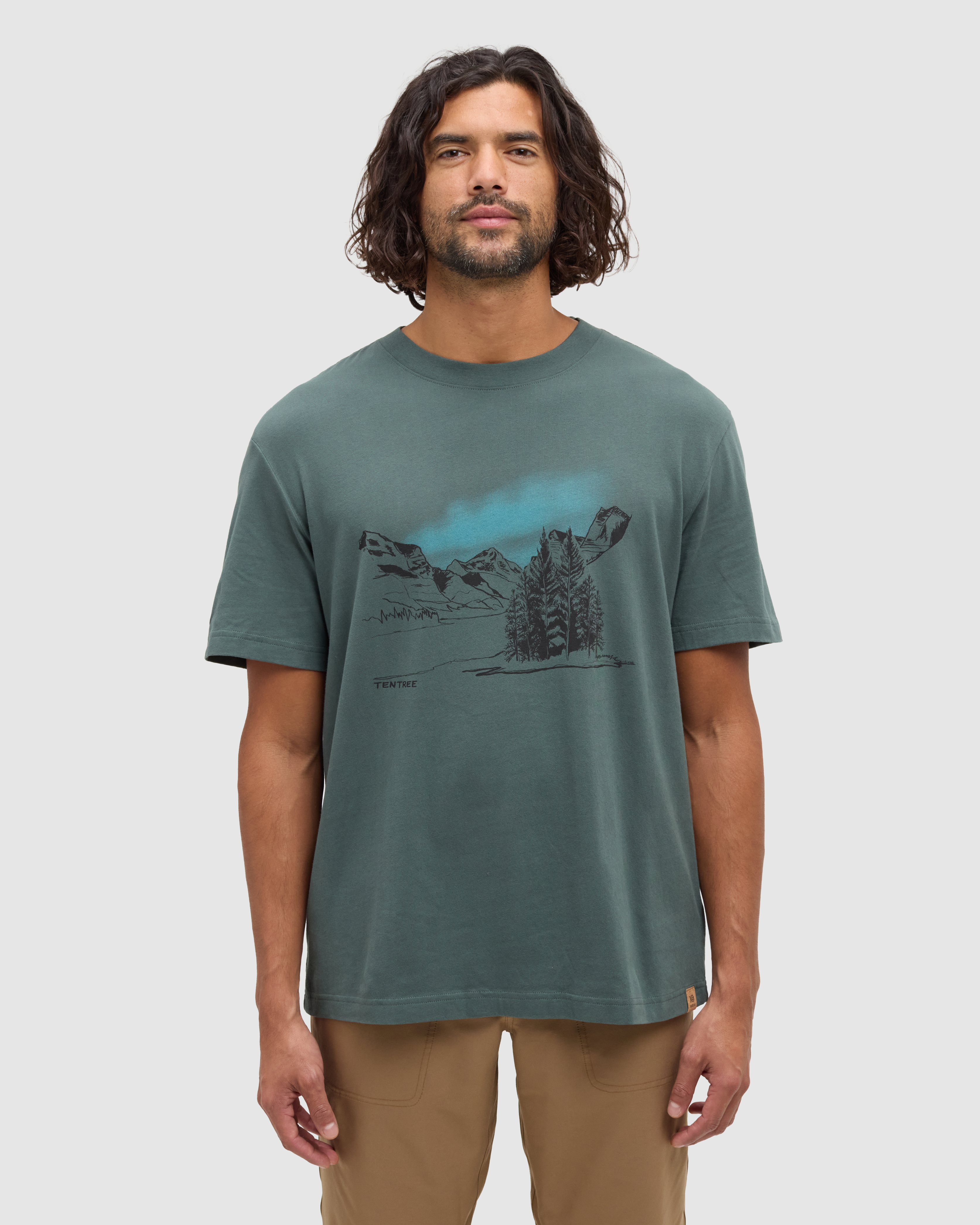 Tentree Men's Parks Landscape Relaxed T-Shirt - Pine Green Meteorite Black
