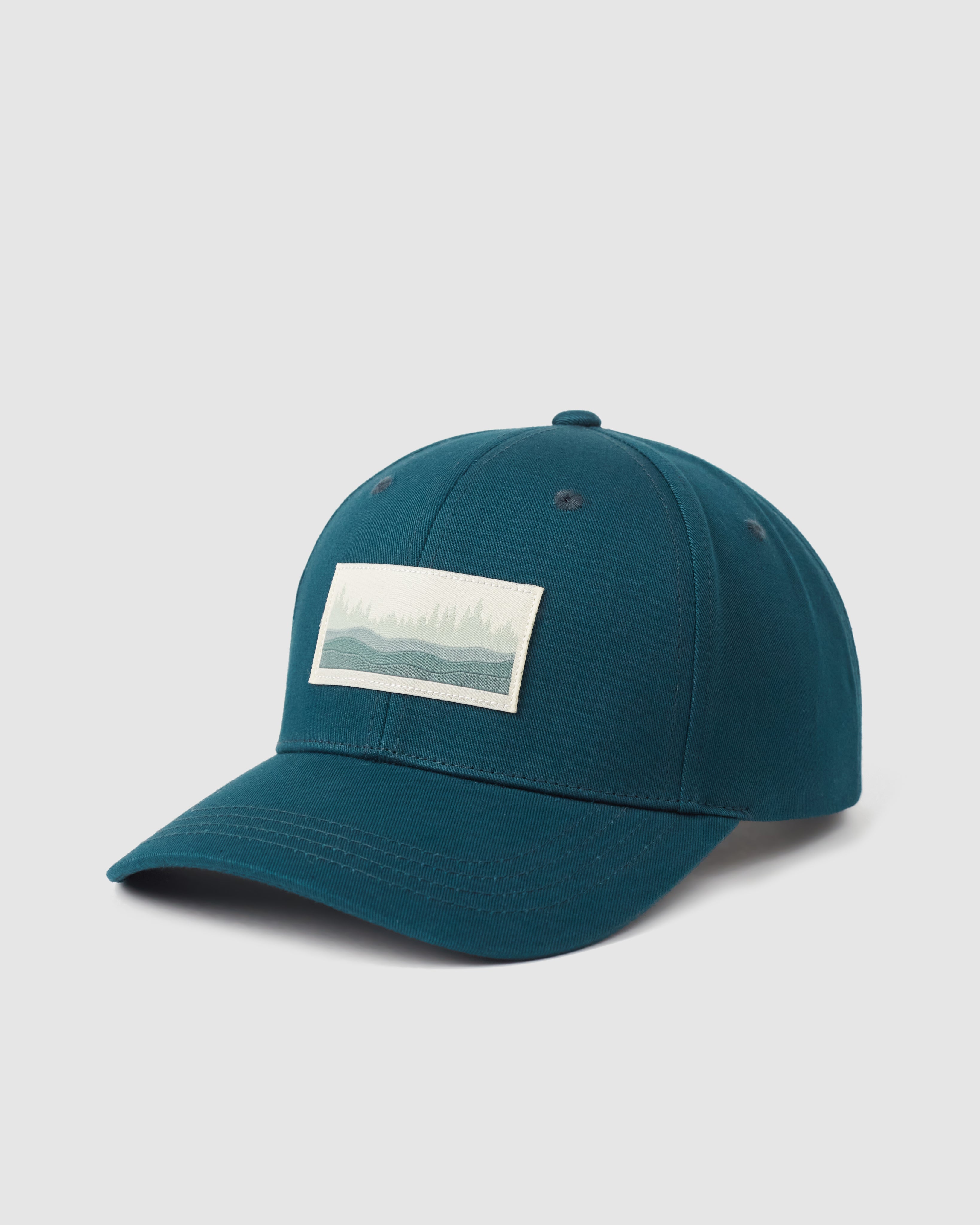 Tentree Juniper Wave Elevation Hat - Jasper Desert Sage