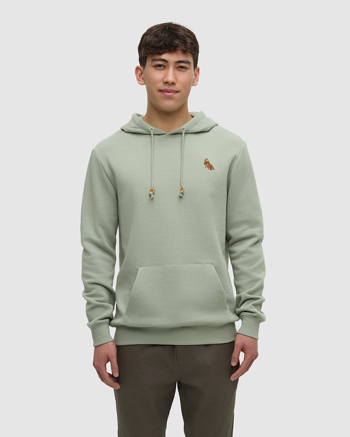 Tentree Men's Sasquatch Hoodie - Light Moss Heather Adirondack