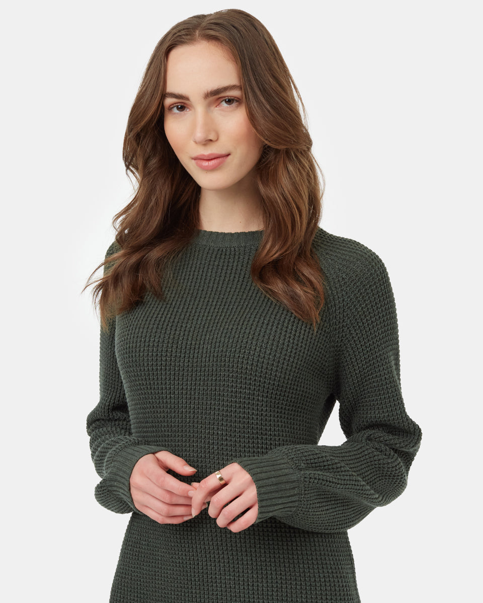 Tentree Women's Highline Crew Neck Dress - Dark Kombu Green Heather