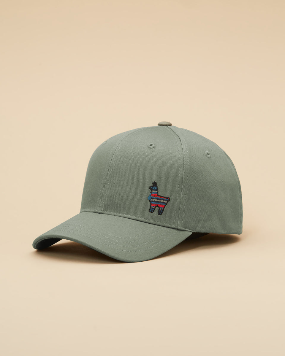 Tentree Peru Embroidered Llama Elevation Hat - Agave Green