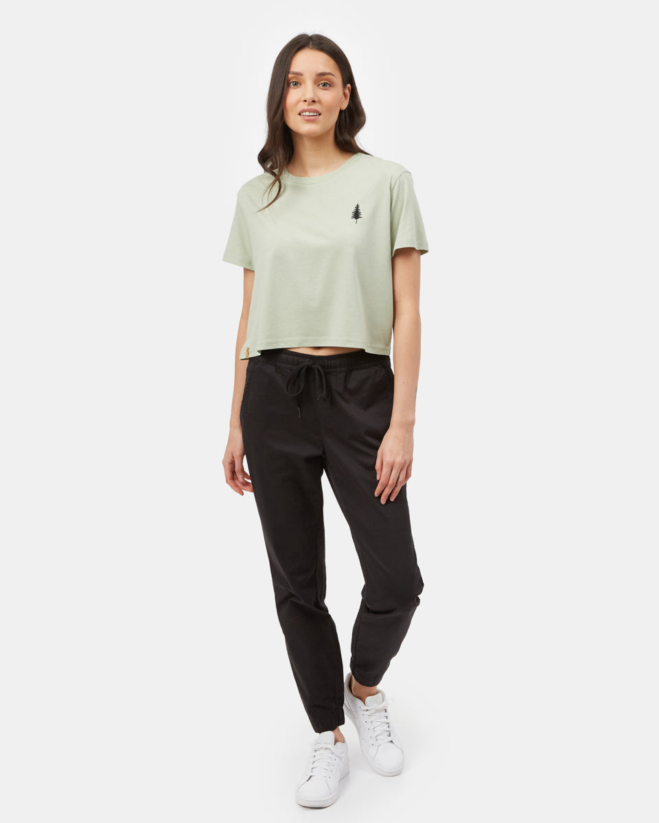 Tentree Golden Spruce Crop T-Shirt - Seedling