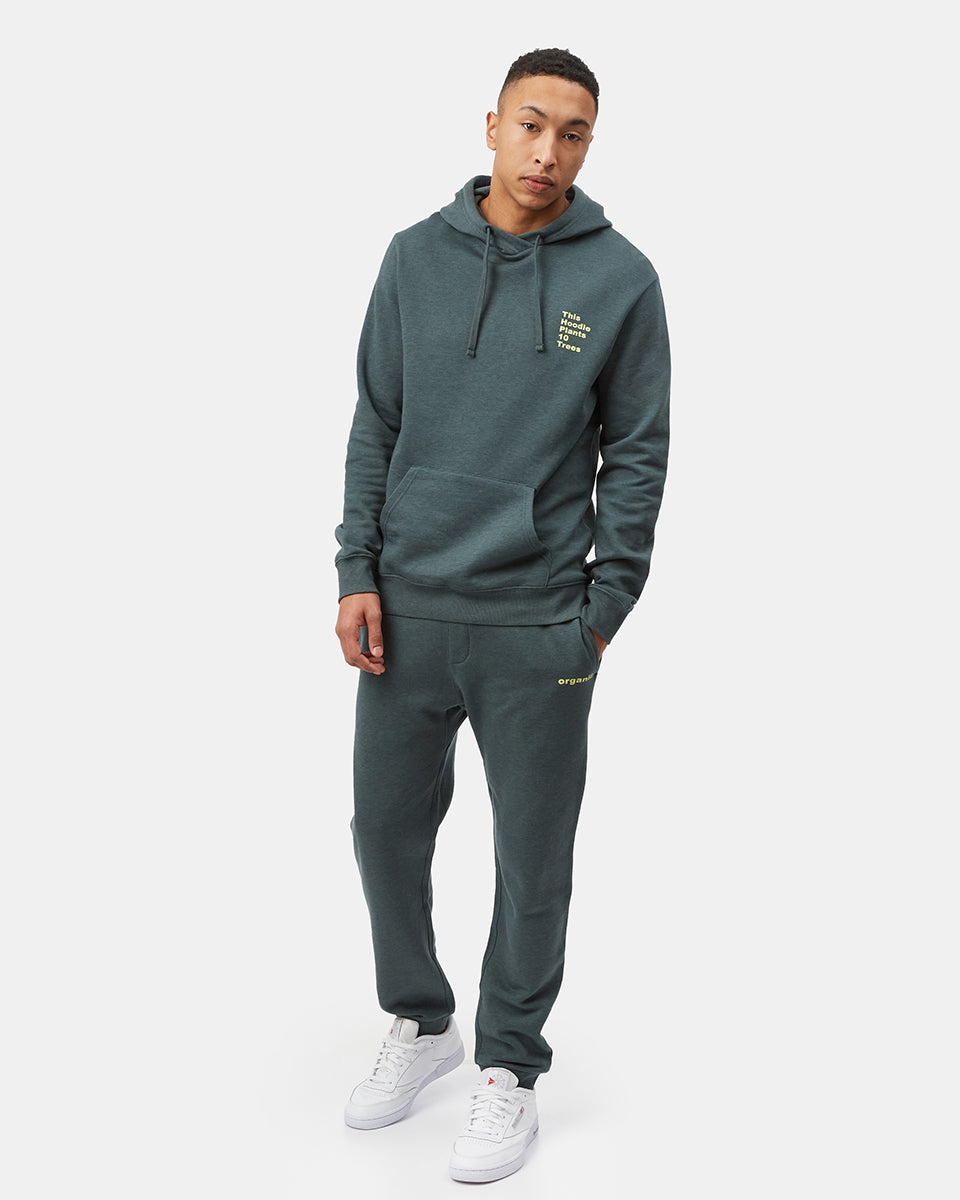 Tentree Eco Facts Hoodie - Sea Green