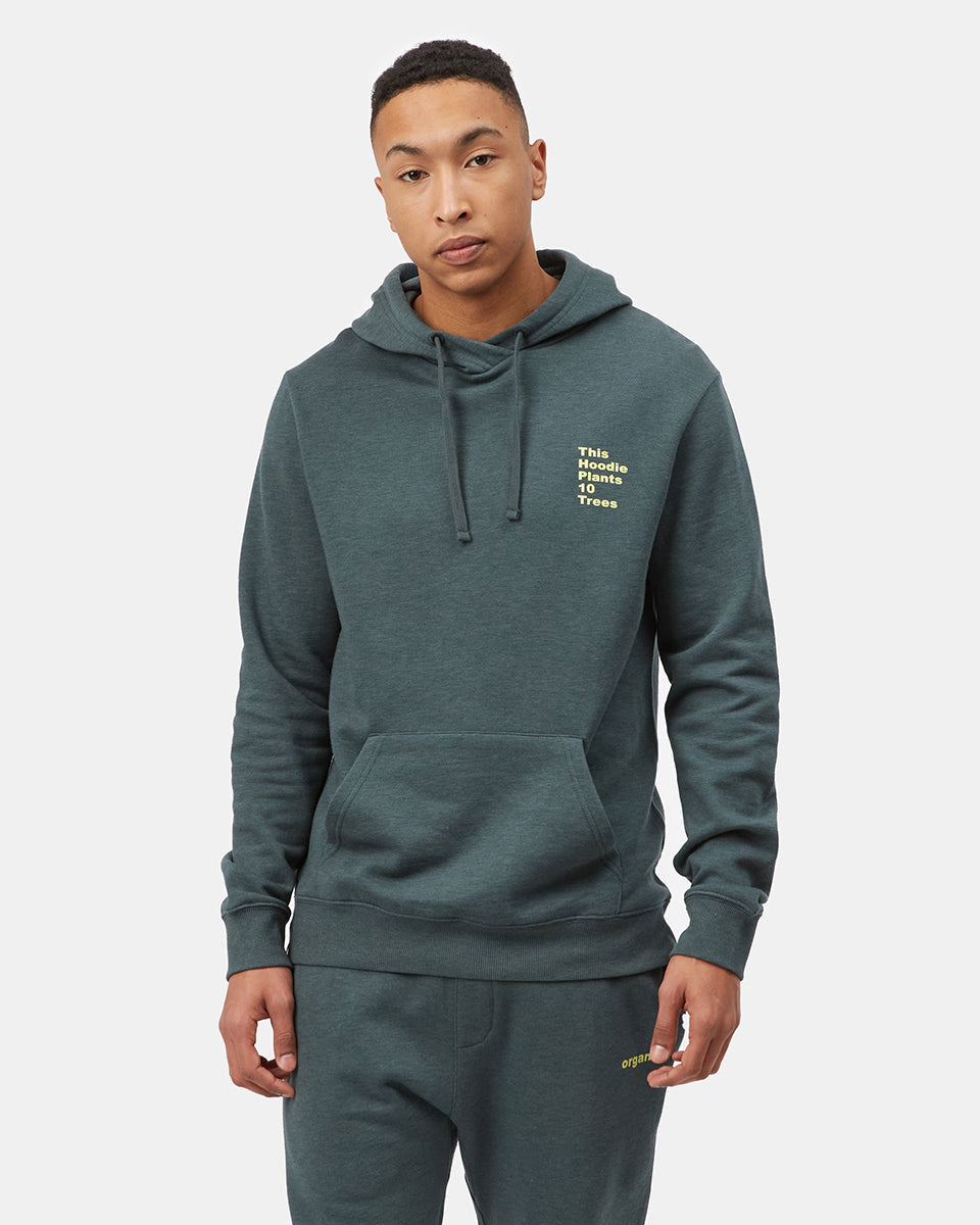 Tentree Eco Facts Hoodie - Sea Green