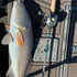 KISTLER Salt Series Fishing Rods — product image 12