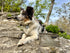 Pike Trail Dyneema Dog Bowl by Pike Trail