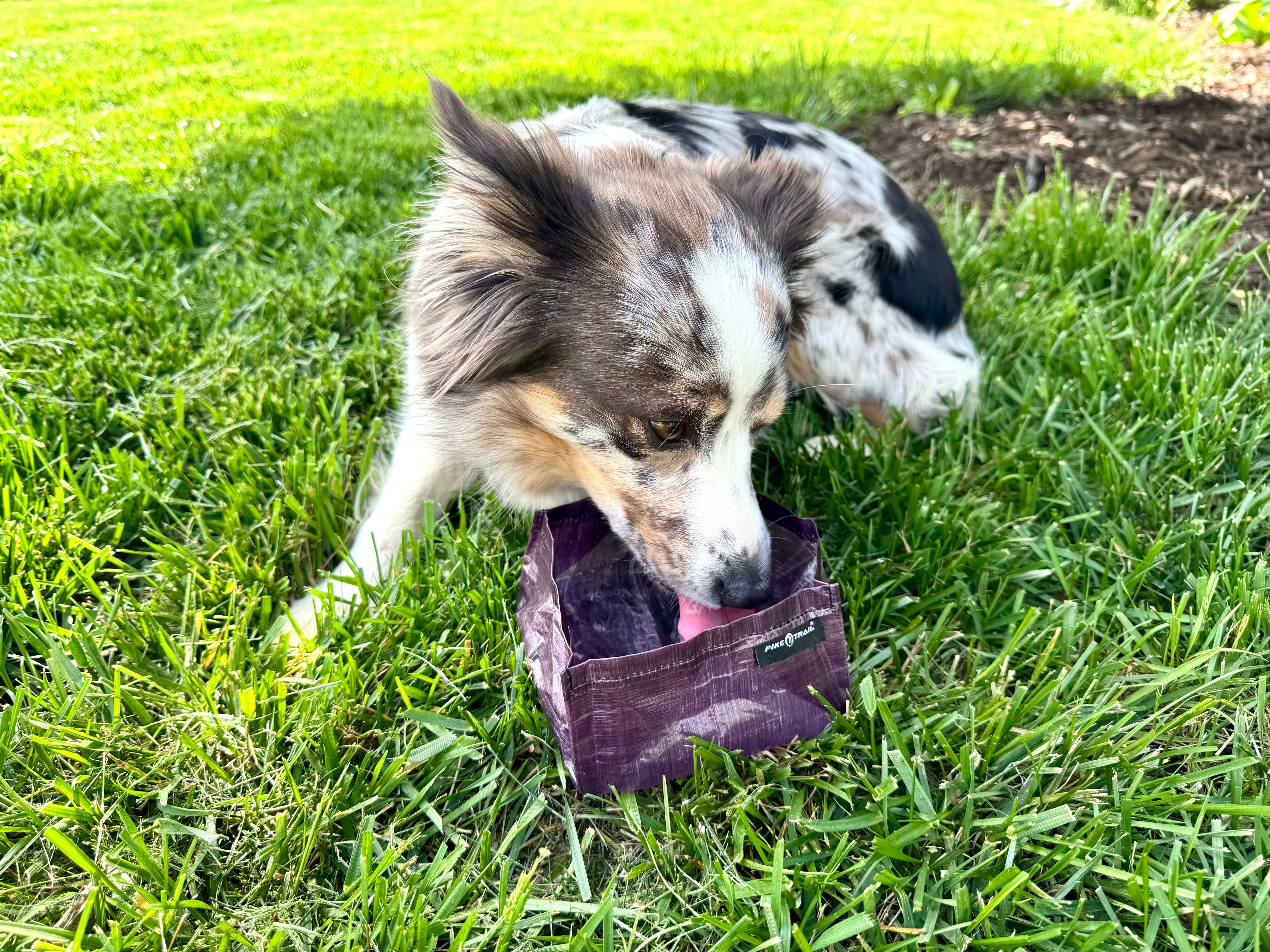 Pike Trail Dyneema Dog Bowl by Pike Trail