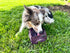 Pike Trail Dyneema Dog Bowl by Pike Trail