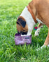 Pike Trail Dyneema Dog Bowl by Pike Trail