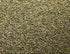 RC Sundance Switchgrass Habitat Seed by Domain Outdoor - product image 6