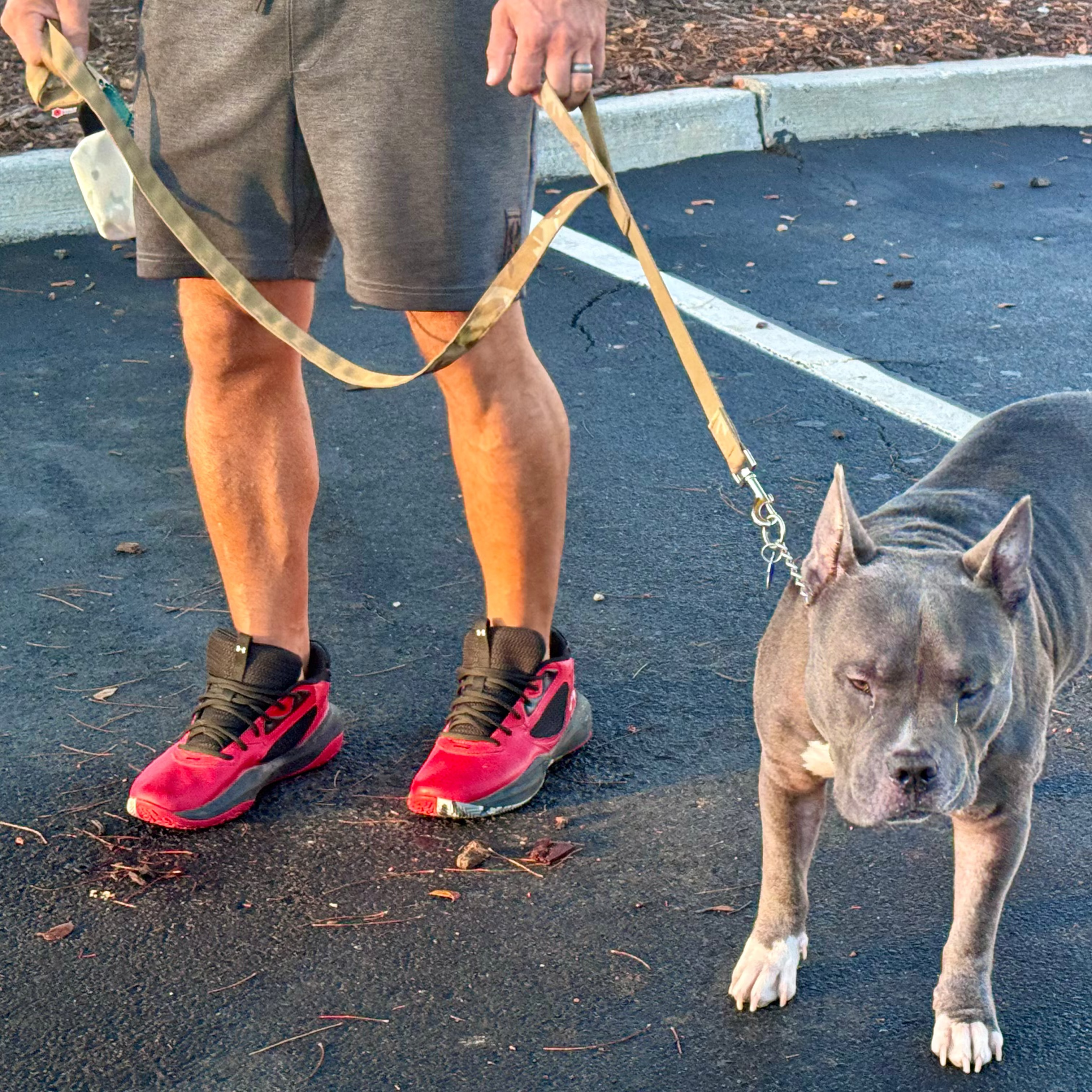 Recycled Firefighter K9 Command Lead - Dual Control Dog Leash — product view 10
