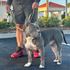 Recycled Firefighter K9 Command Lead - Dual Control Dog Leash — product view 2