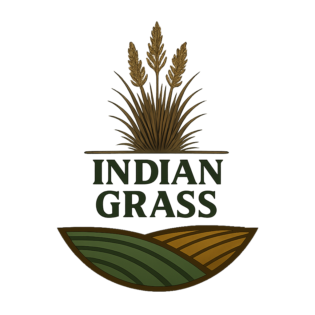 Indiangrass Habitat Seed by Domain Outdoor - product image 3