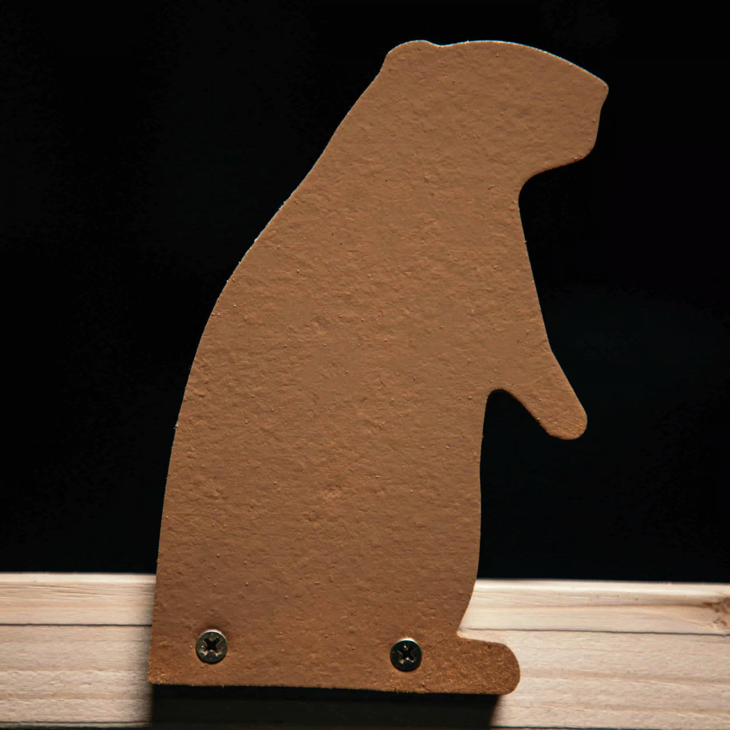 Groundhog Plinker Infinity Target