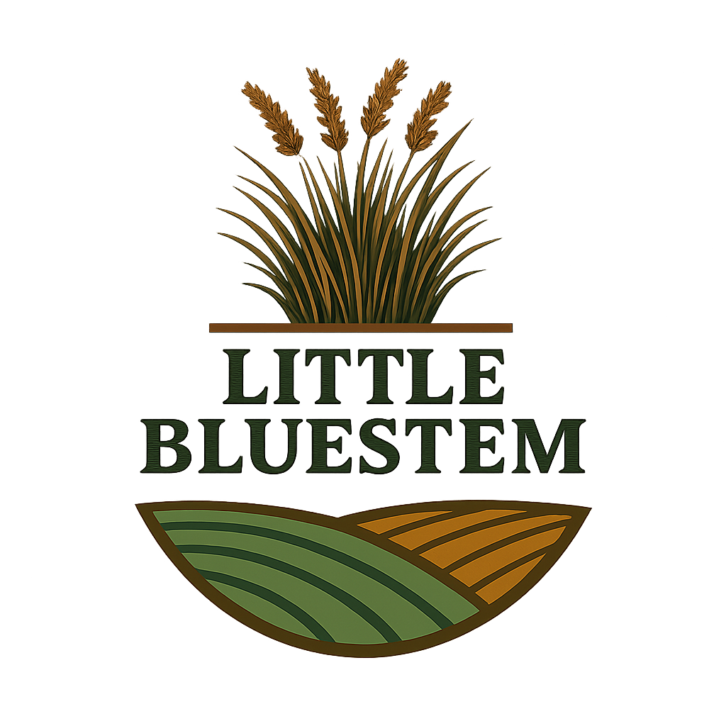 Little Bluestem Habitat Seed by Domain Outdoor - product image 3