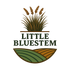 Little Bluestem Habitat Seed by Domain Outdoor - product image 3