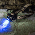 MH8 Outdoor Headlamp by Ledlenser USA