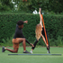 Training Stick Bundle