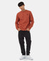 Tentree Men's Golden Spruce Forest Crew - Baked Clay