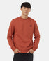 Tentree Men's Golden Spruce Forest Crew - Baked Clay