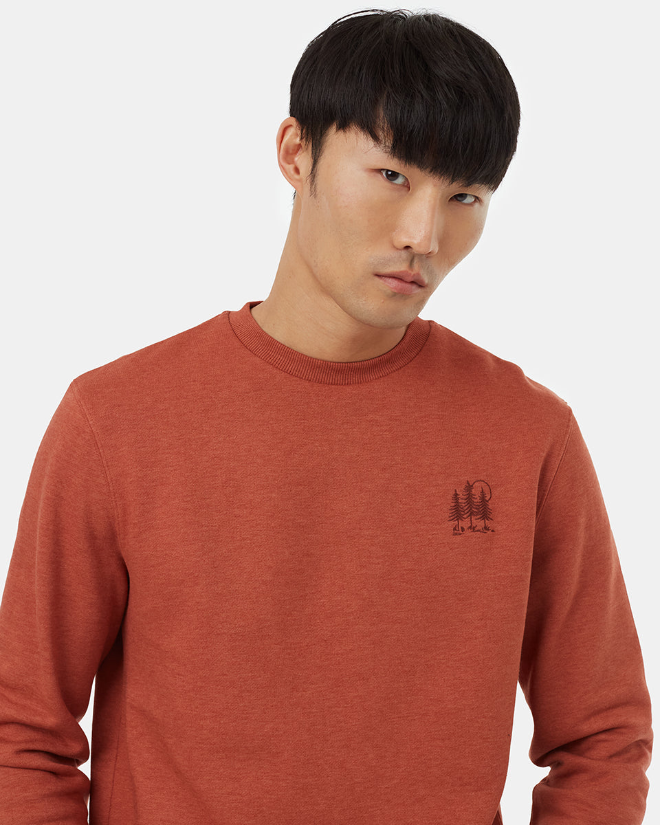 Tentree Men's Golden Spruce Forest Crew - Baked Clay