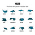 Moab All-In-One Shelter Hammock