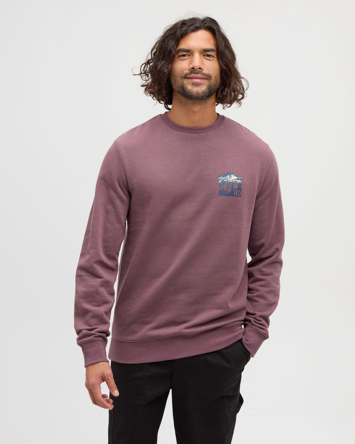 Tentree Men's Mountain Mirror Crew - Mauve Stone Meteorite Black
