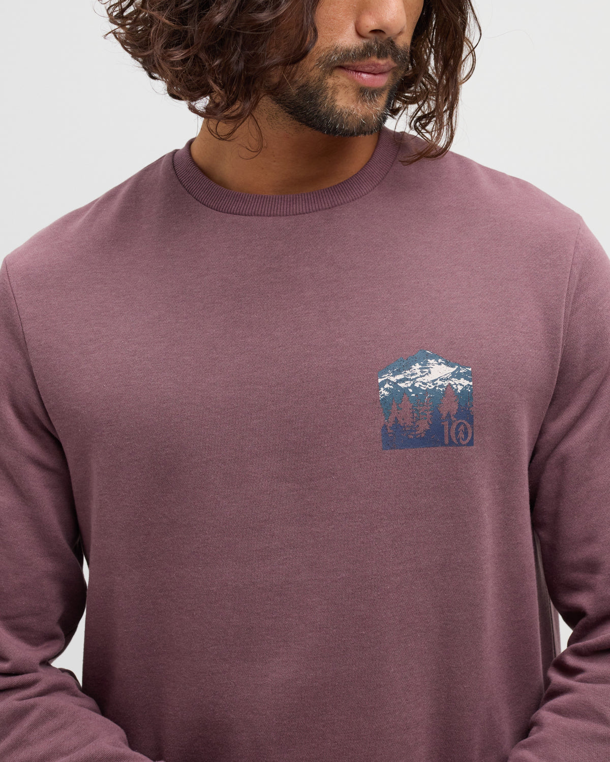 Tentree Men's Mountain Mirror Crew - Mauve Stone Meteorite Black