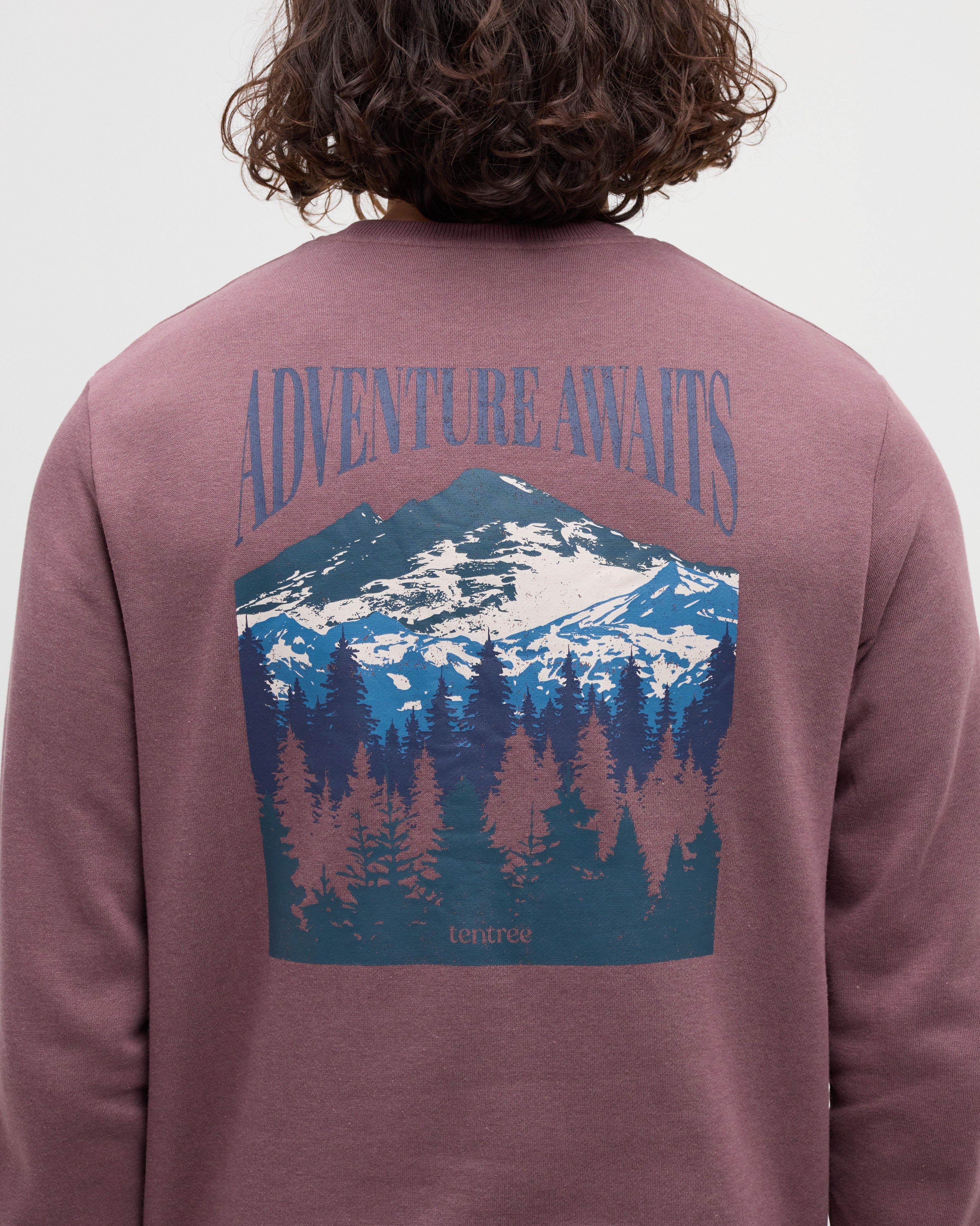 Tentree Men's Mountain Mirror Crew - Mauve Stone Meteorite Black