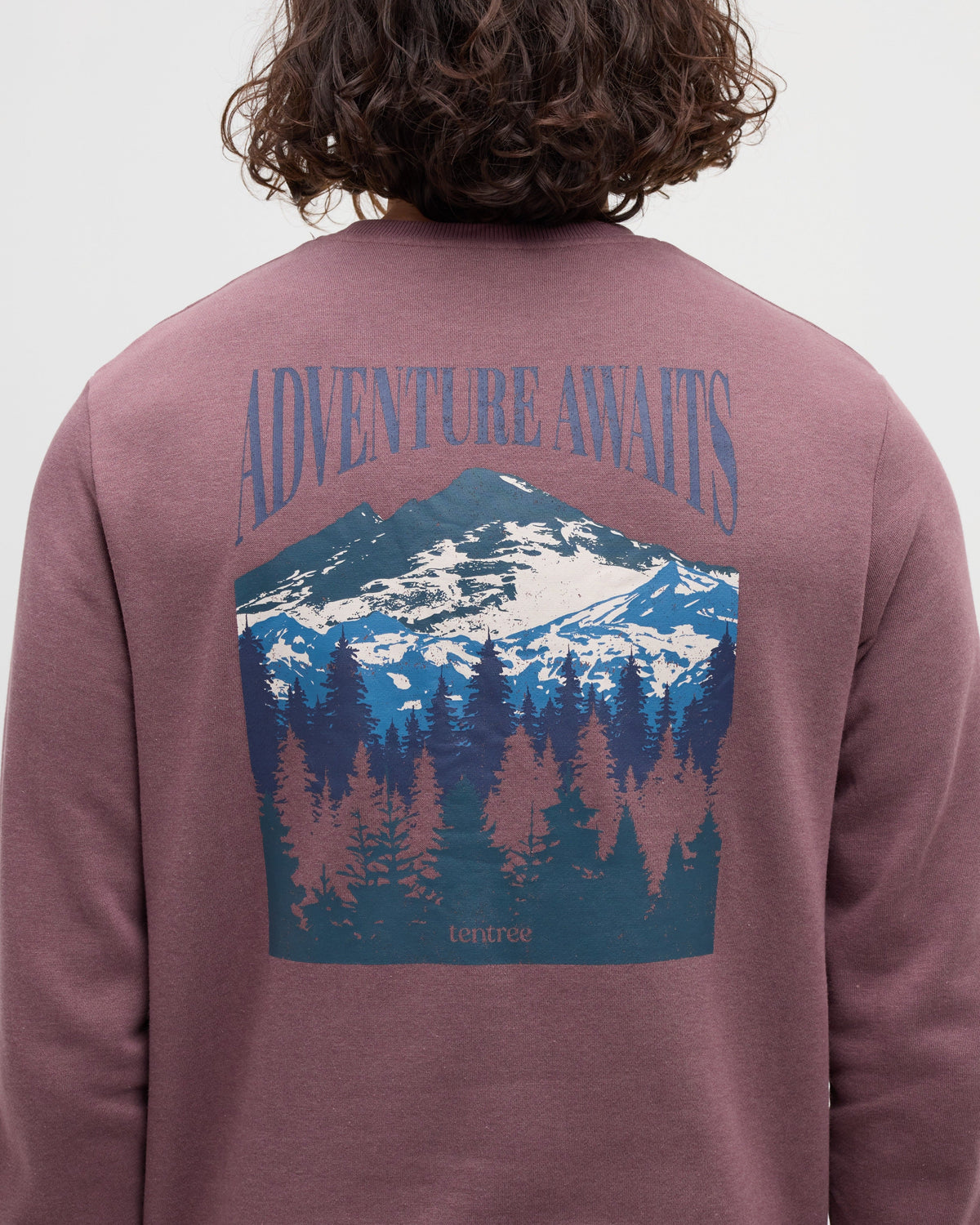 Tentree Men's Mountain Mirror Crew - Mauve Stone Meteorite Black