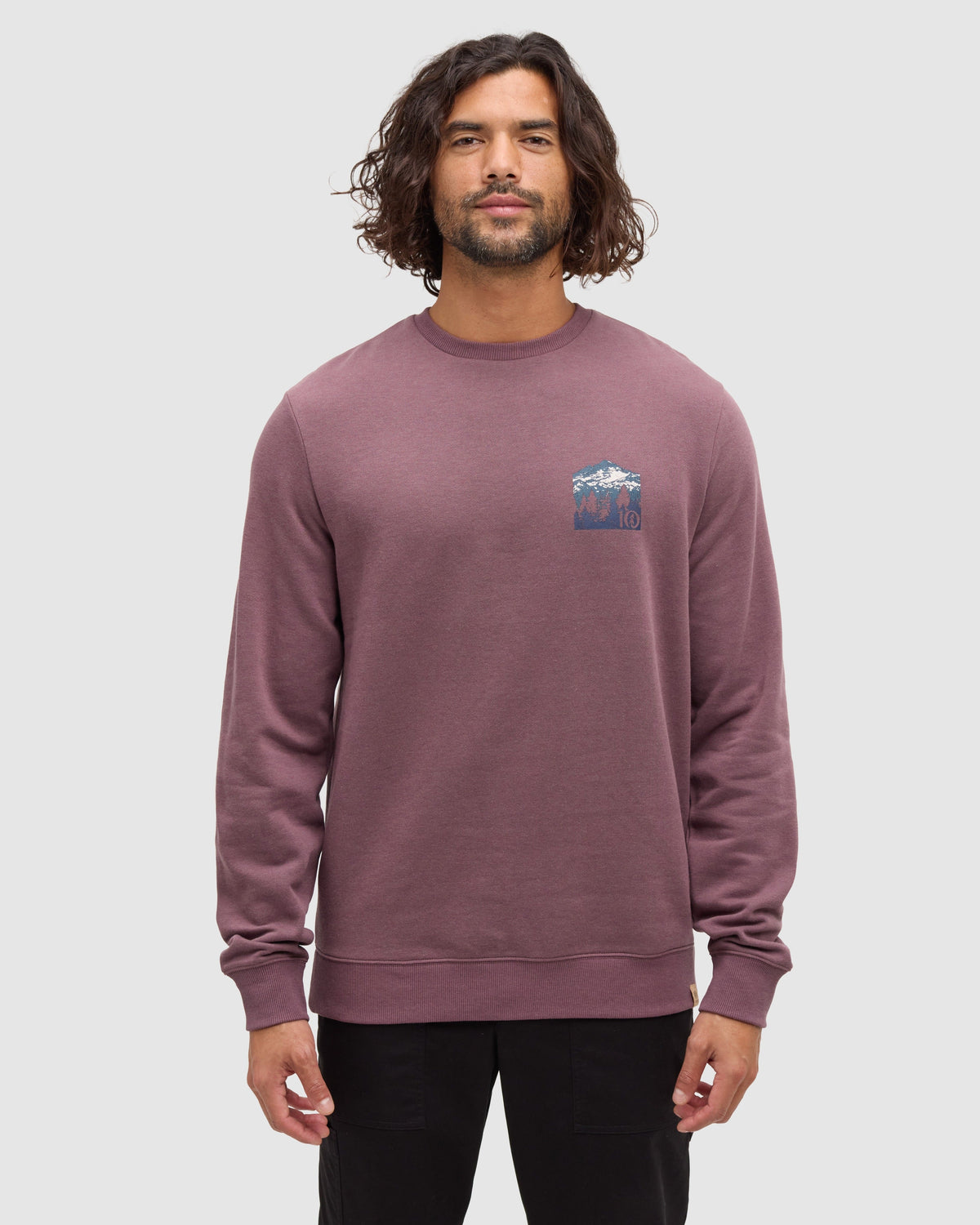 Tentree Men's Mountain Mirror Crew - Mauve Stone Meteorite Black