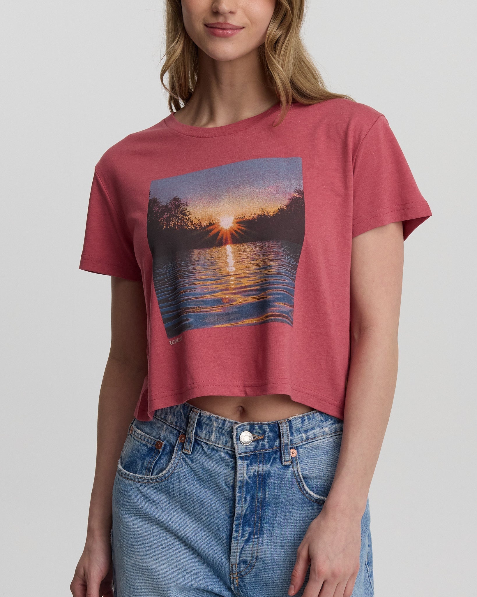 Tentree Women's Lake View Crop T-Shirt - Rosewood Lake View