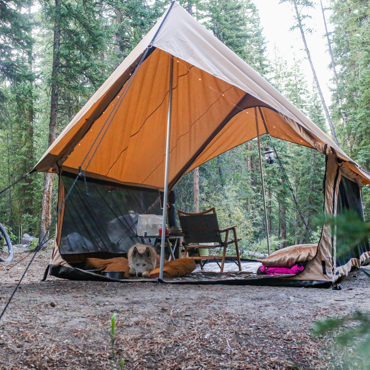 White Duck Rover Scout Tent 8'x13'