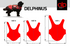 DELPHINUS Harness