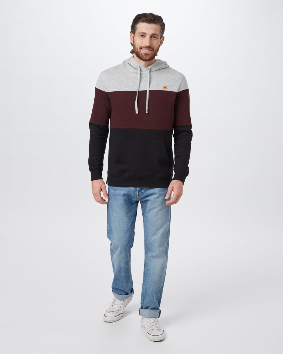 Tentree TreeFleece Blocked Reynard Hoodie - Hi Rise Grey Heather Mulberry Meteorite Black