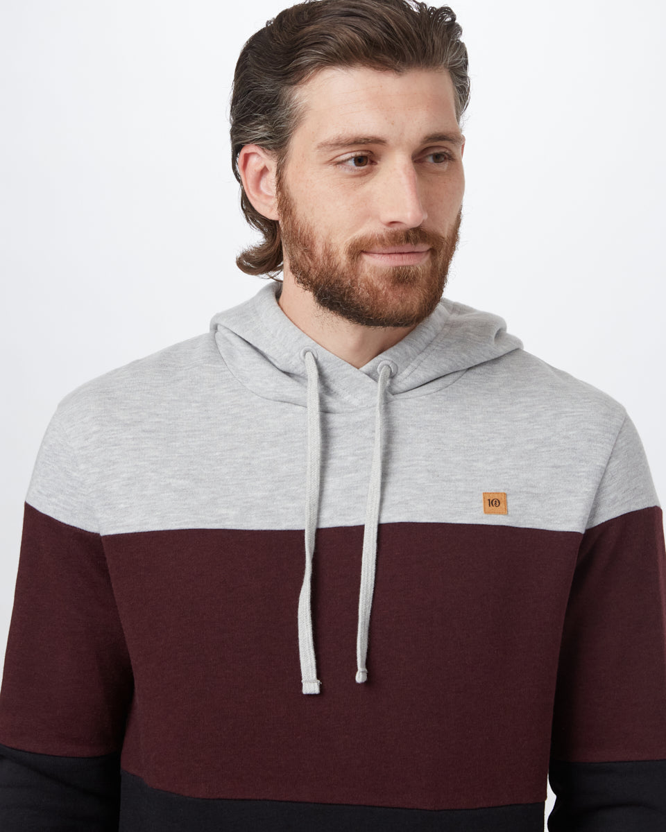 Tentree TreeFleece Blocked Reynard Hoodie - Hi Rise Grey Heather Mulberry Meteorite Black