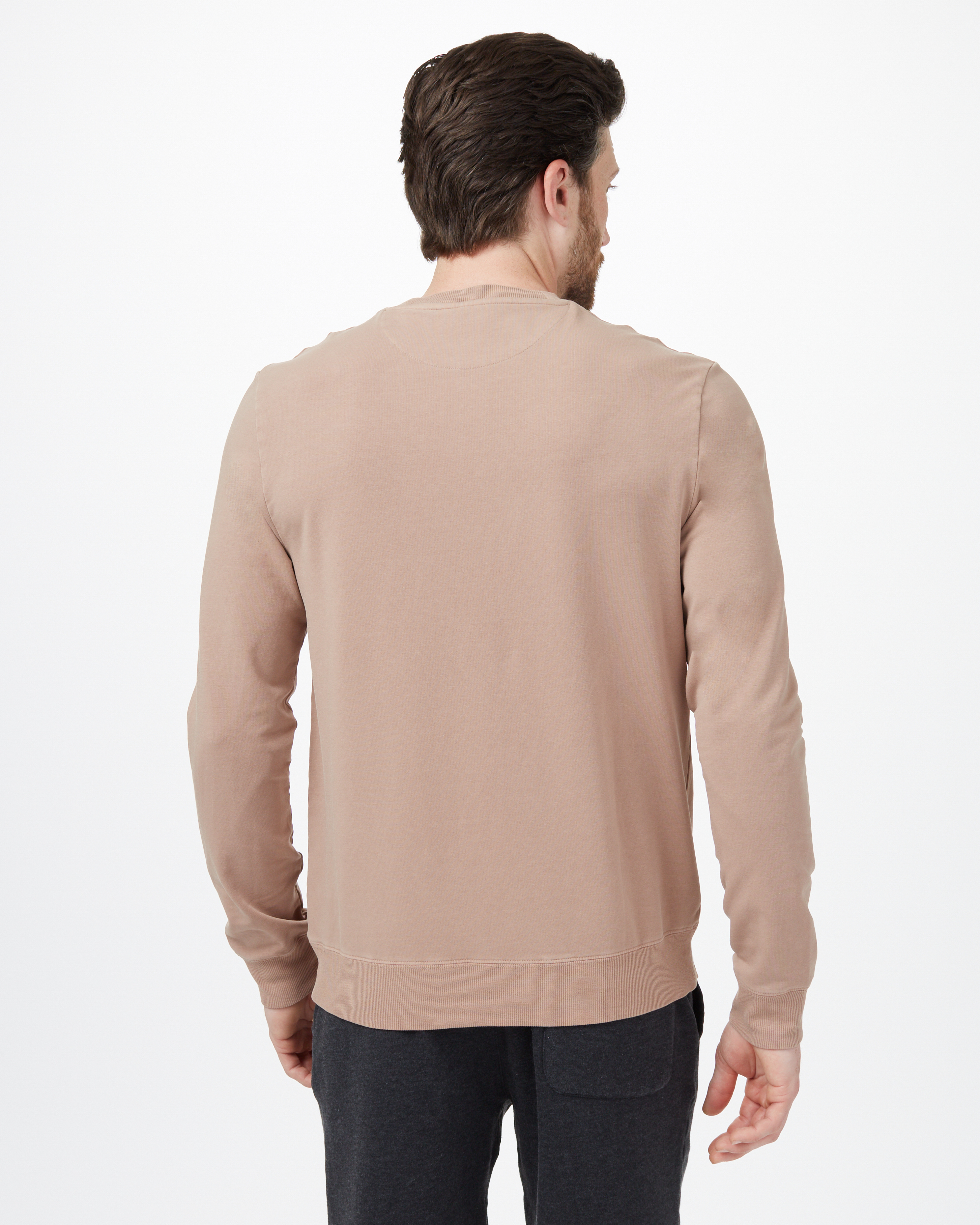 Tentree Men's French Terry Classic Crew - Mushroom