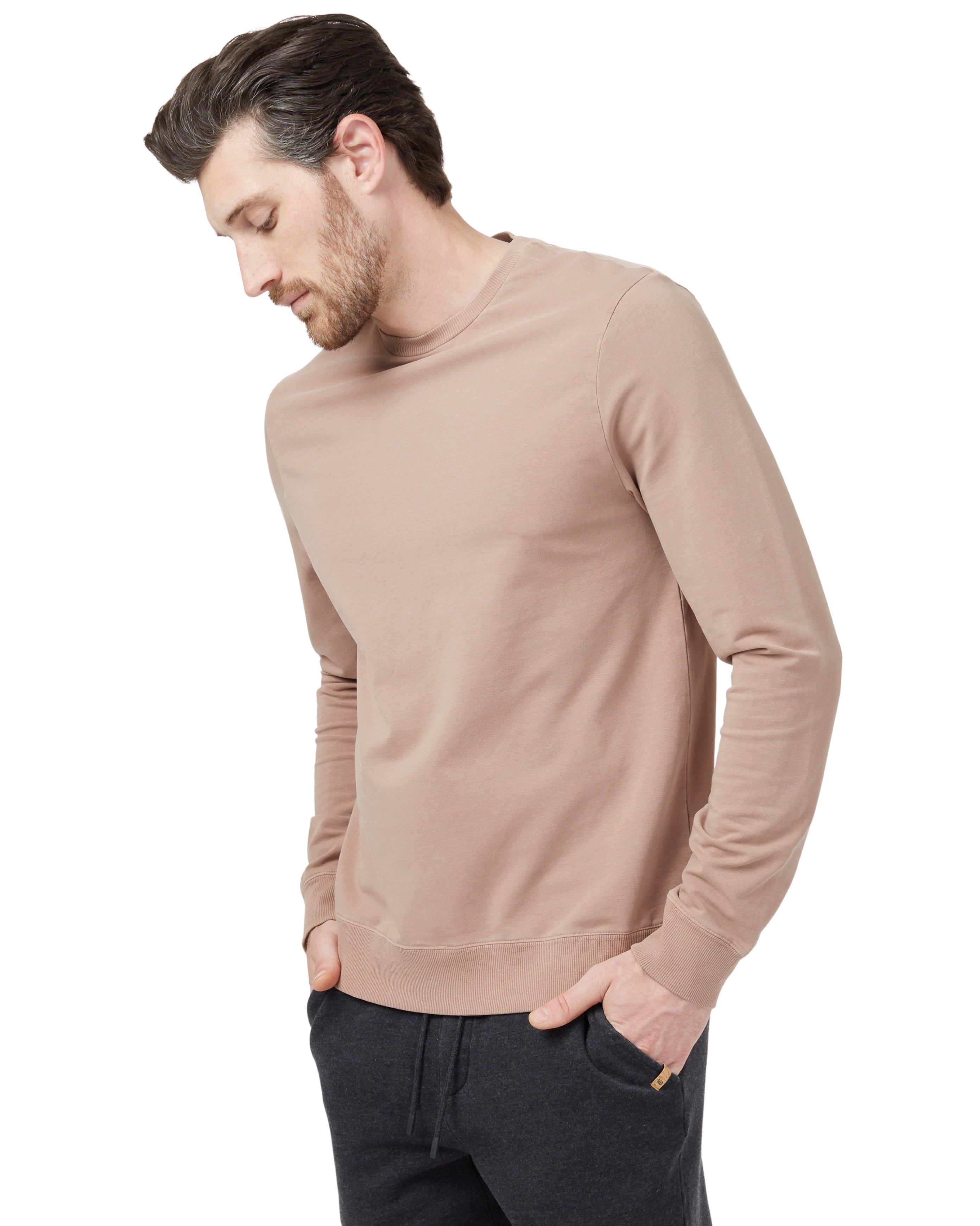 Tentree Men's French Terry Classic Crew - Mushroom