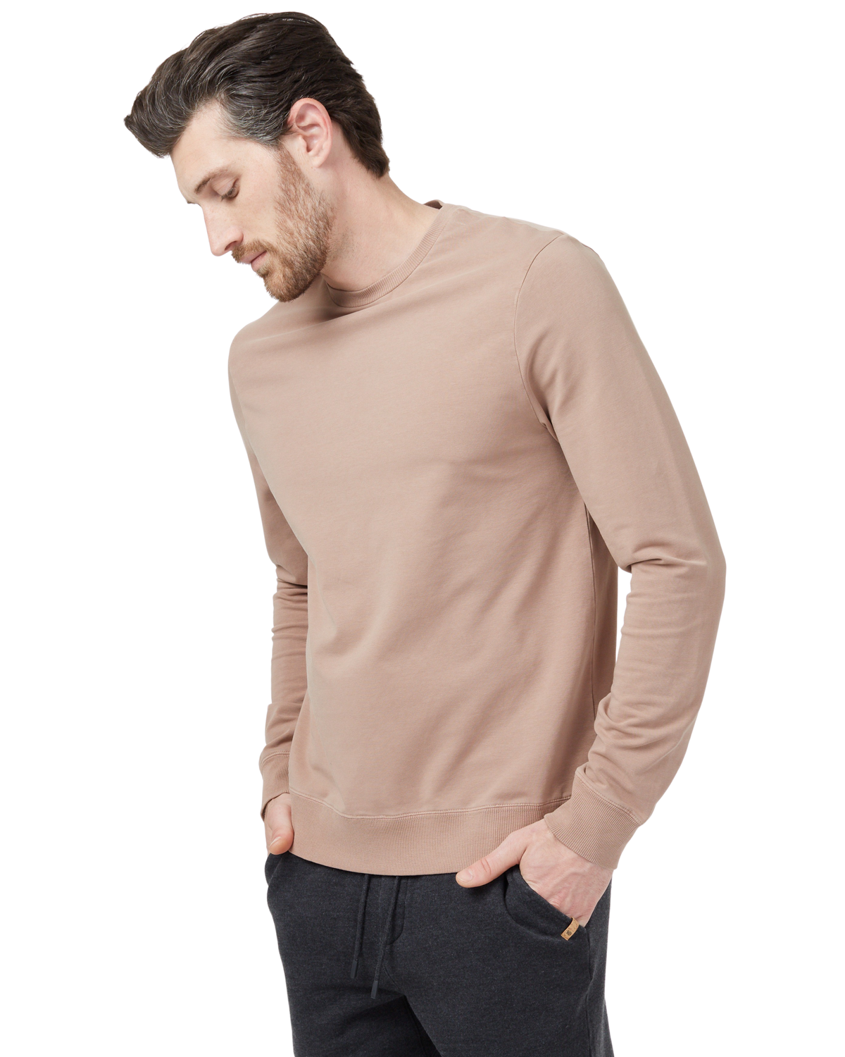 Tentree Men's French Terry Classic Crew - Mushroom